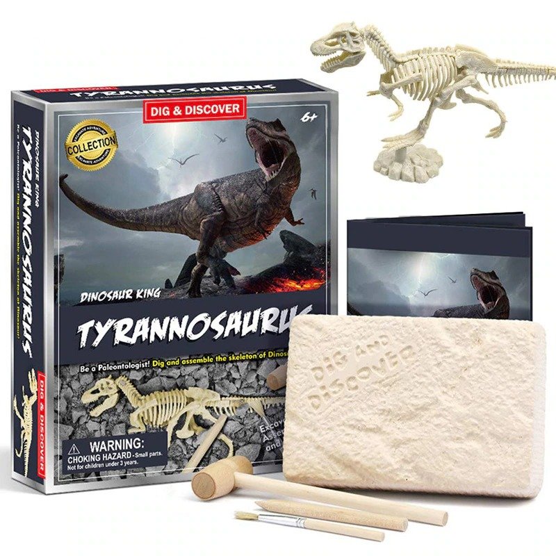 Kit de Fouille de Dinosaure