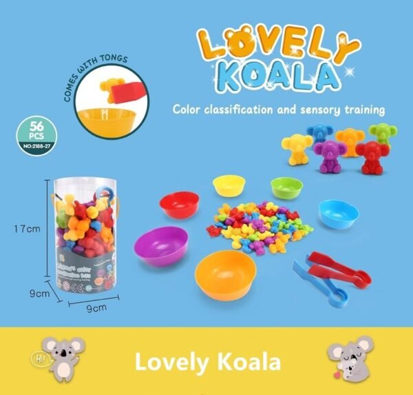Jouets de Classification Montessori - 5