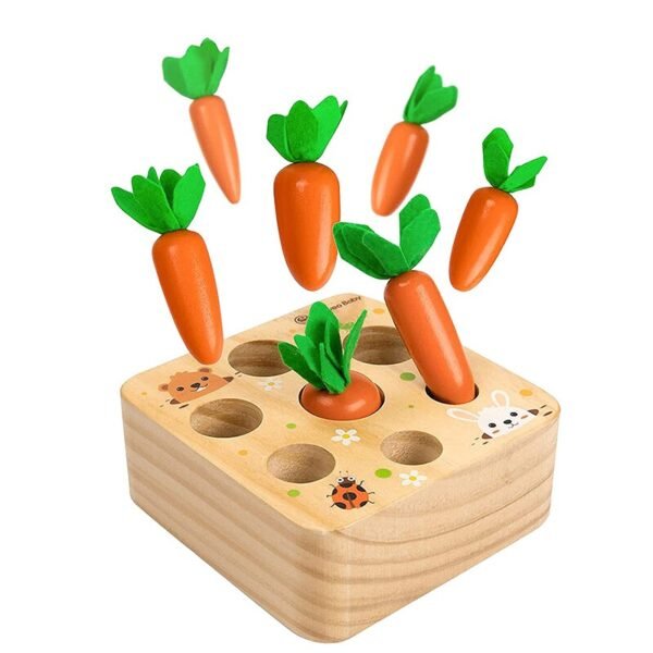 Jeu de tri et comptage de carottes en bois - 5