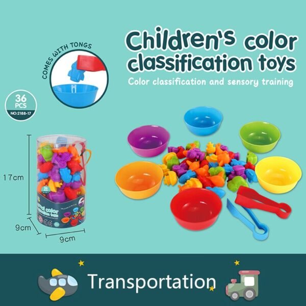 Jouets de Classification Montessori - 2