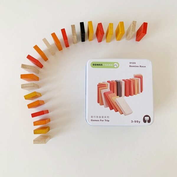 Puzzle en Bois Montessori - 14