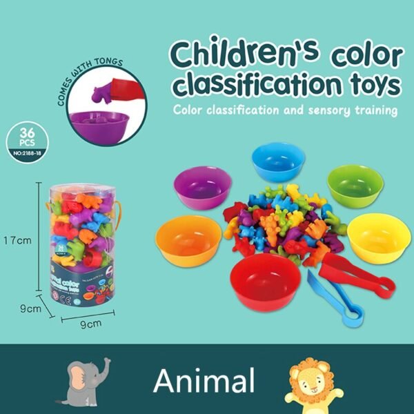 Jouets de Classification Montessori - 10