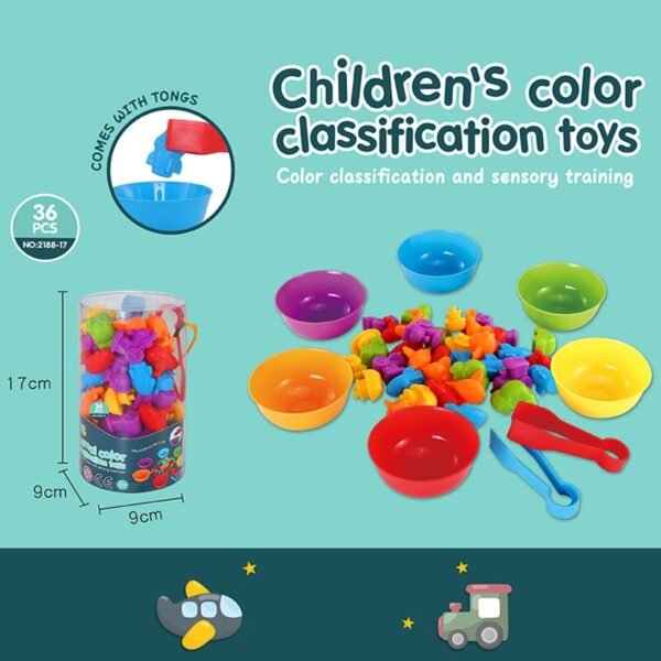 Jouets de Classification Montessori - 7