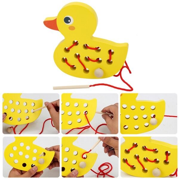 Jeu de Ver Traversant une Pomme - 6