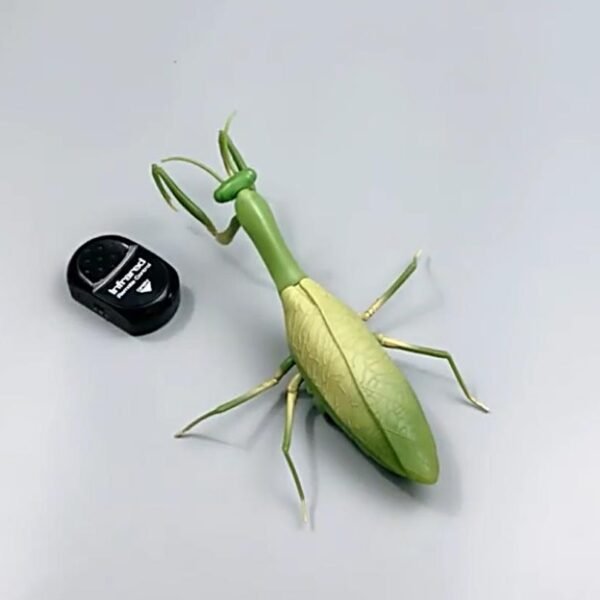 Insectes Robotisés Télécommandés - 12