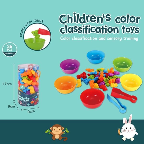 Jouets de Classification Montessori - 6