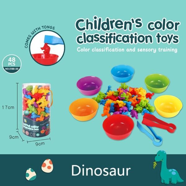 Jouets de Classification Montessori - 8