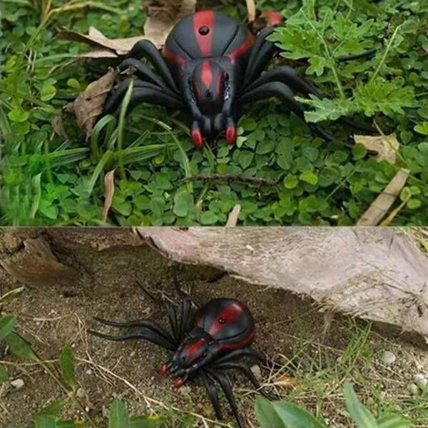 Insectes Robotisés Télécommandés - 5