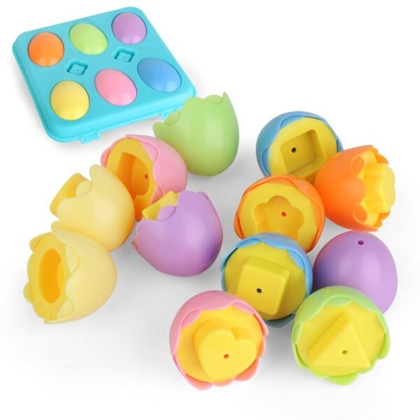 Oeufs éducatifs Montessori - 4