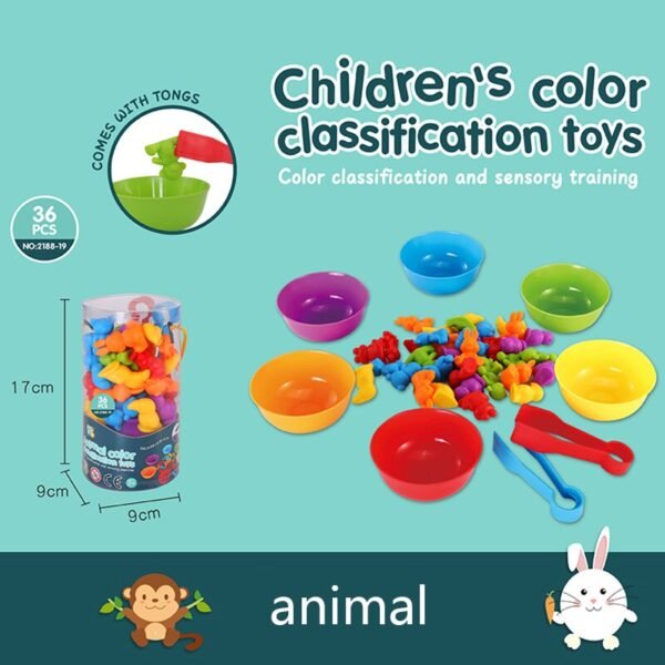 Jouets de Classification Montessori - 3