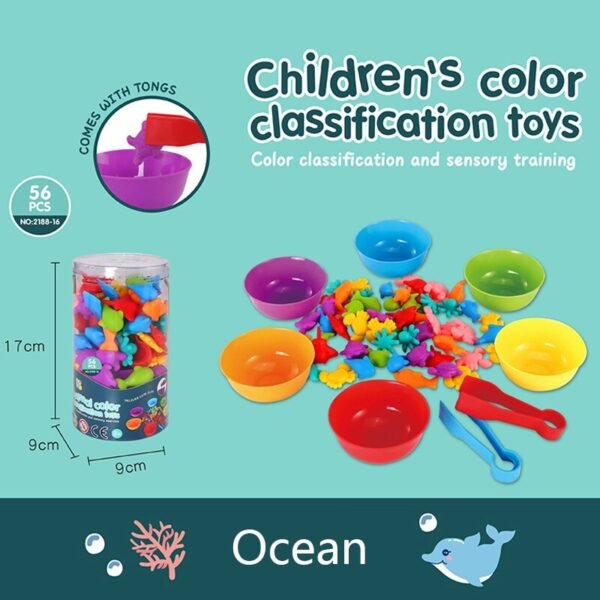 Jouets de Classification Montessori - 11
