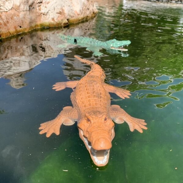 Crocodile Télécommandé - 5