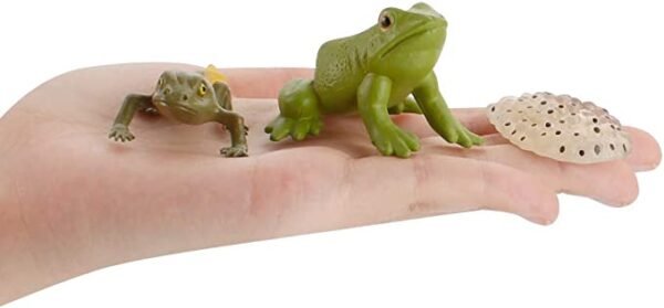 Ensemble de Modèles d'Animaux et d'Insectes - 3