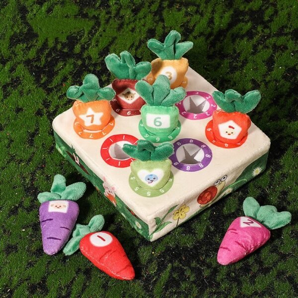 Jeu de Récolte de Carottes - 5