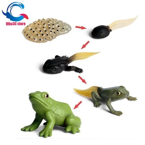 Ensemble de Modèles d'Animaux et d'Insectes - 1