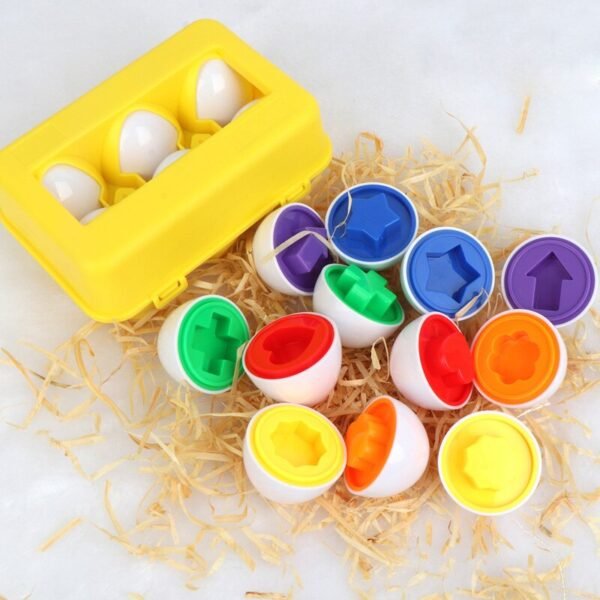 Oeufs éducatifs Montessori - 8