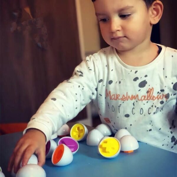 Puzzle d'Œufs Montessori - 2