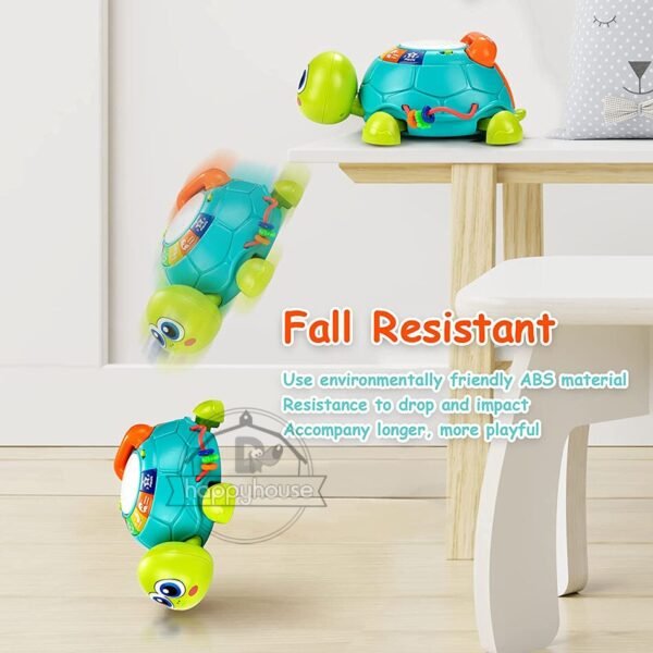 Tortue Musicale Lumineuse - 6