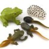 Ensemble de Modèles d'Animaux et d'Insectes
