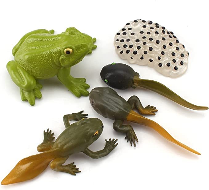 Ensemble de Modèles d'Animaux et d'Insectes