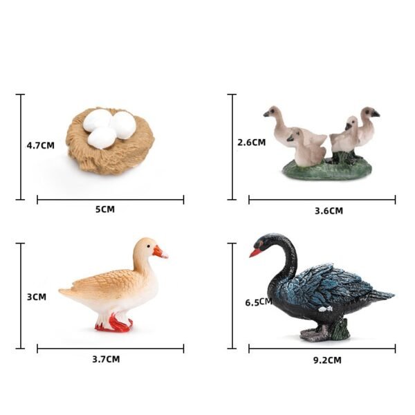 Ensemble de Modèles d'Animaux et d'Insectes - 10