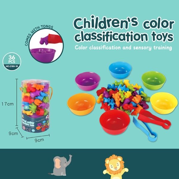 Jouets de Classification Montessori - 9