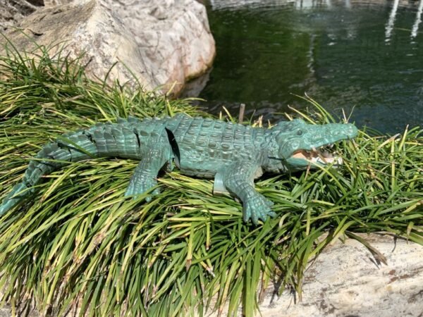 Crocodile Télécommandé - 6