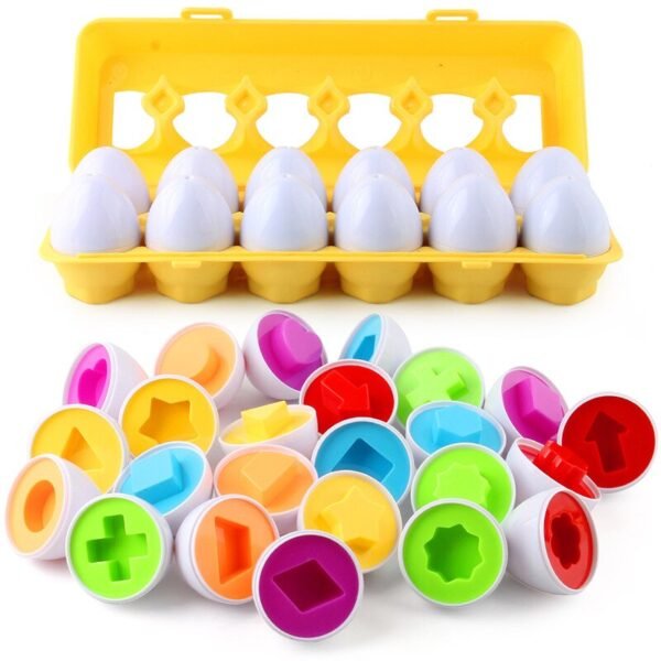 Puzzle Montessori Œufs et Vis - 8