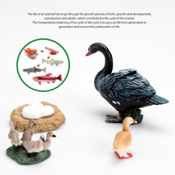 Ensemble de Modèles d'Animaux et d'Insectes - 9