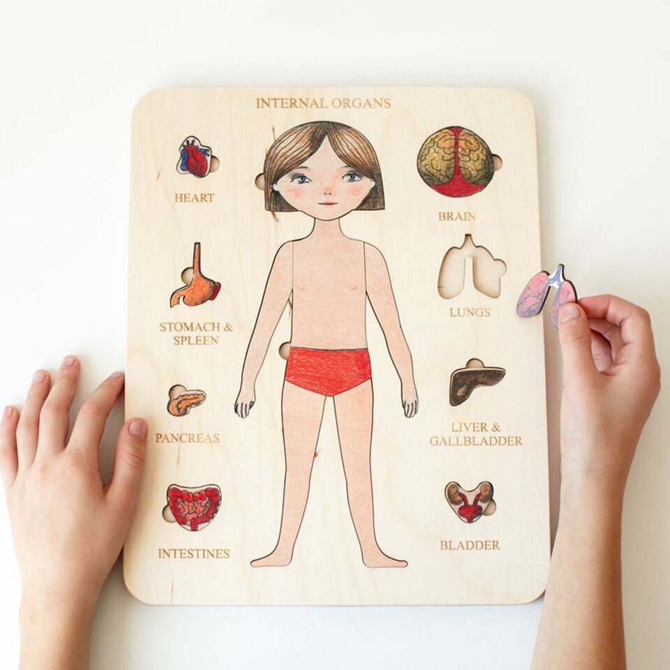 Puzzle du Corps Humain Montessori
