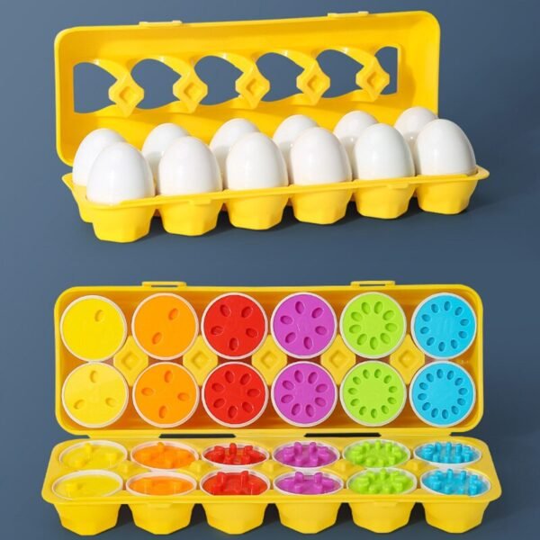 Puzzle d'Œufs Montessori - 4