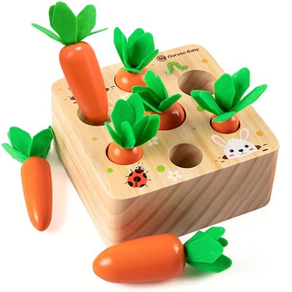 Jeu de tri et comptage de carottes en bois - 6