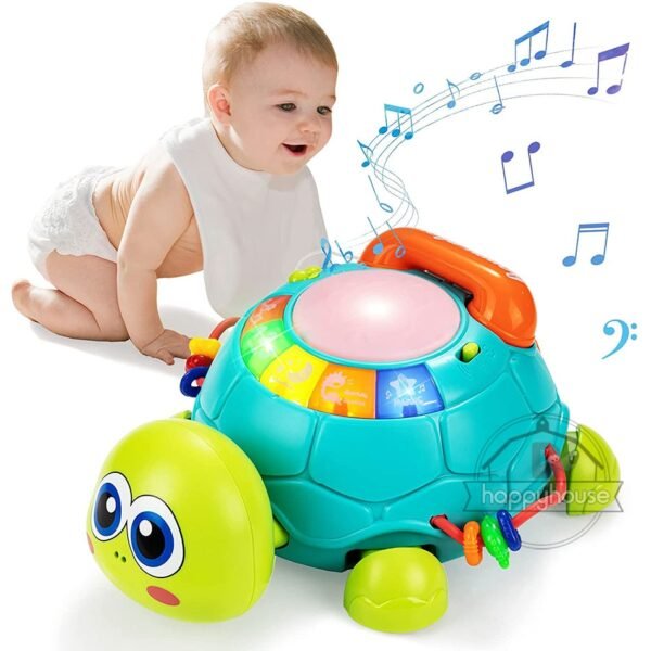 Tortue Musicale Lumineuse - 5